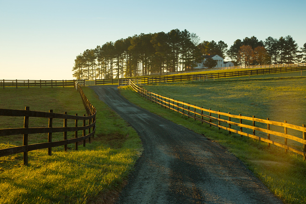 outdoor wedding venue reception barn wedding near lynchburg virginia spring grove events wedding venues reception space outdoor country wedding