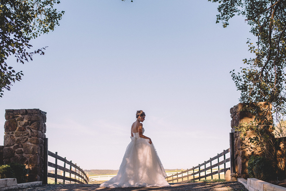 outdoor wedding venue reception barn wedding near lynchburg virginia spring grove events wedding venues reception space outdoor country wedding